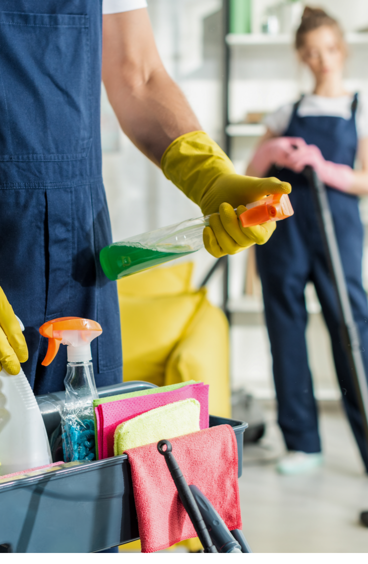 Window cleaning, House cleaning